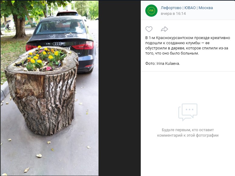 Фото дня: креативная лефортовская клумба