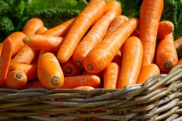 много моркови