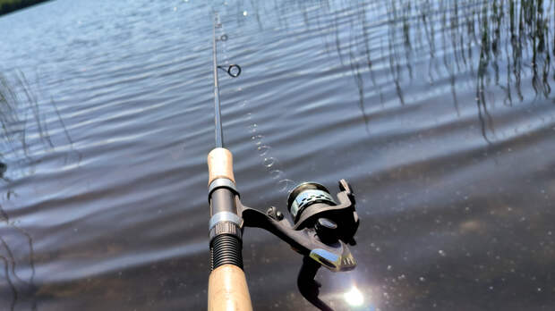 В тепле и уюте: в Казахстане запустили сервис рыбалки «на удаленке»