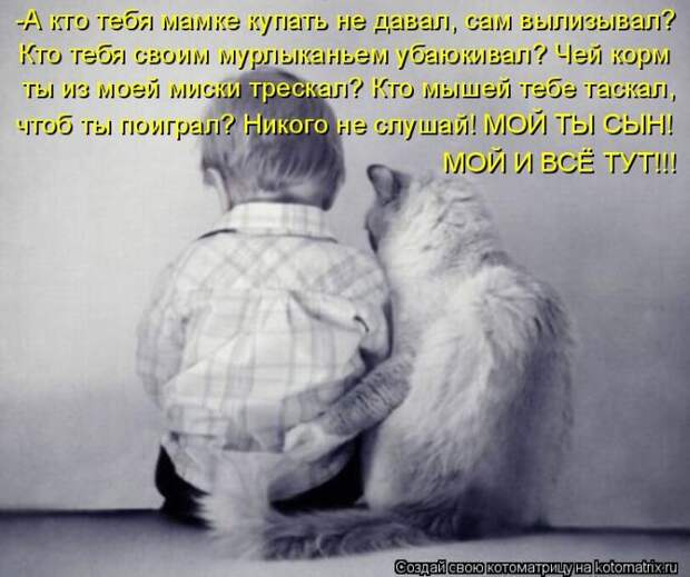 Лучшие котоматрицы недели (50 фото) Лучшие котоматрицы недели (50 фото)