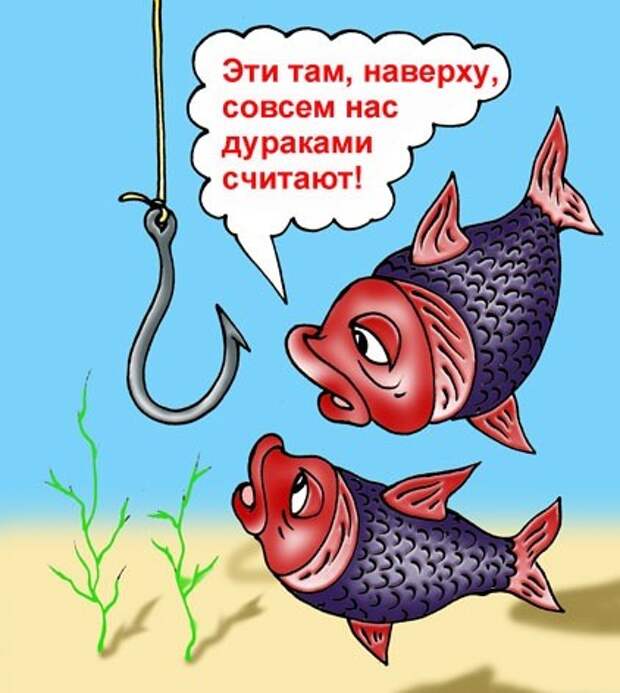 ЮАР раскусила свидомитов ЮАР раскусила свидомитов