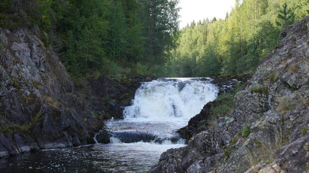 В Госдуме предложили запретить застраивать заповедники