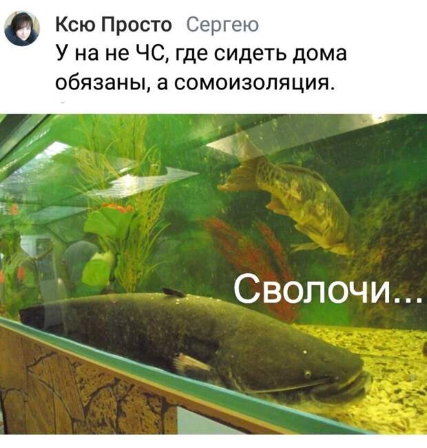 Не уже Ли эти над писи амоналия на сомоизоляции