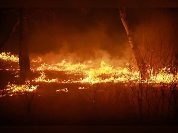 Лес горит в районе Атамановки