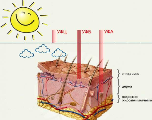 защита кожи от воздействия ультрафиолетовых излучений