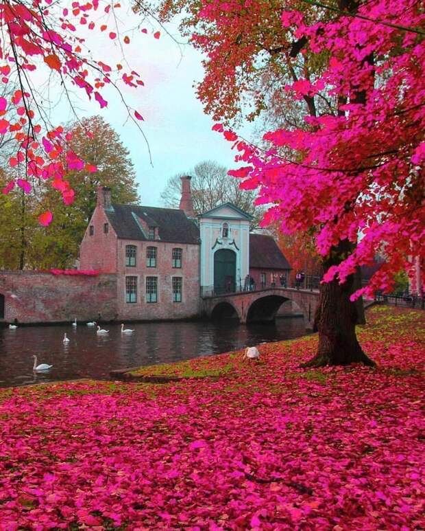 Brugge, Belgium красивые места, мир, планета, природа, путешествия