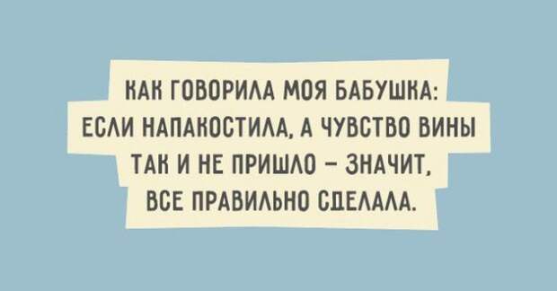 Искрометный юмор в забавных высказываниях (20 картинок)