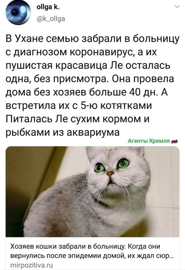 Политические картинки