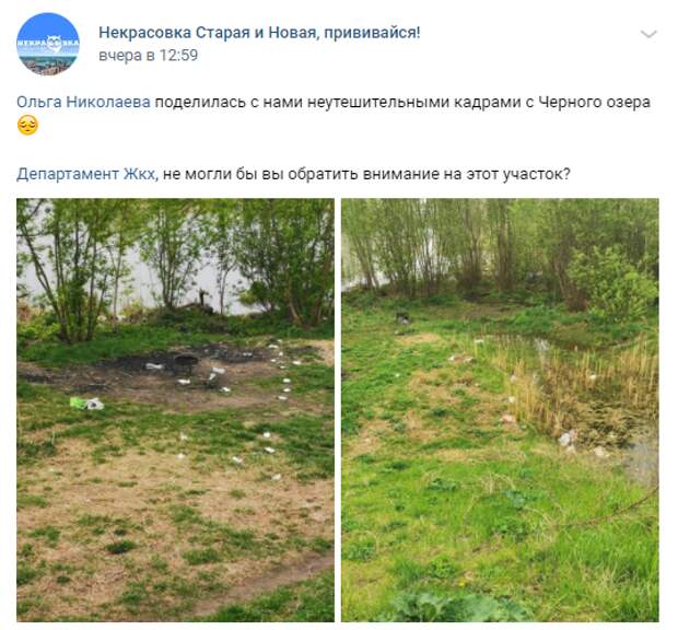 Мусор с берега Черного озера убран — управа