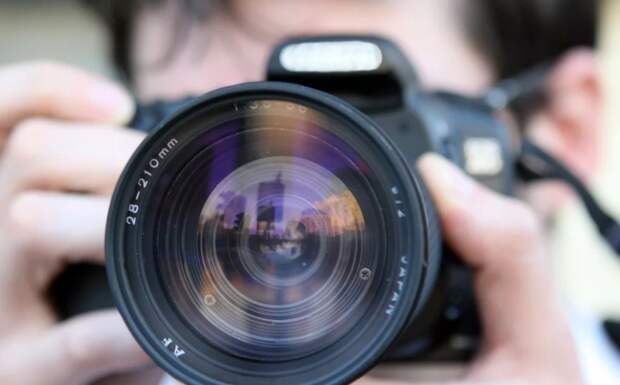 Уроки по фотосъемке природы пройдут на ВДНХ Фото с сайта pixabay.com