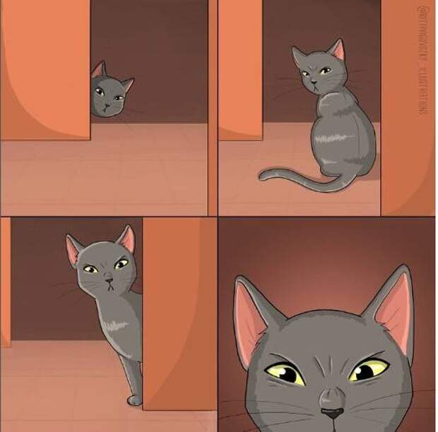 Кошатники поймут с одного взгляда: 14 милых иллюстраций о жизни с котом