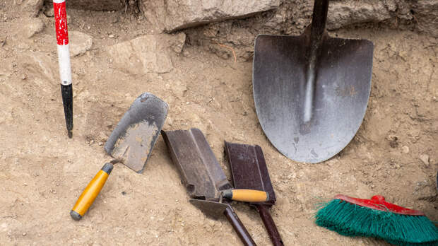 Археологи ХМАО продолжат раскопки в ансамбле «Священная кедровая роща»