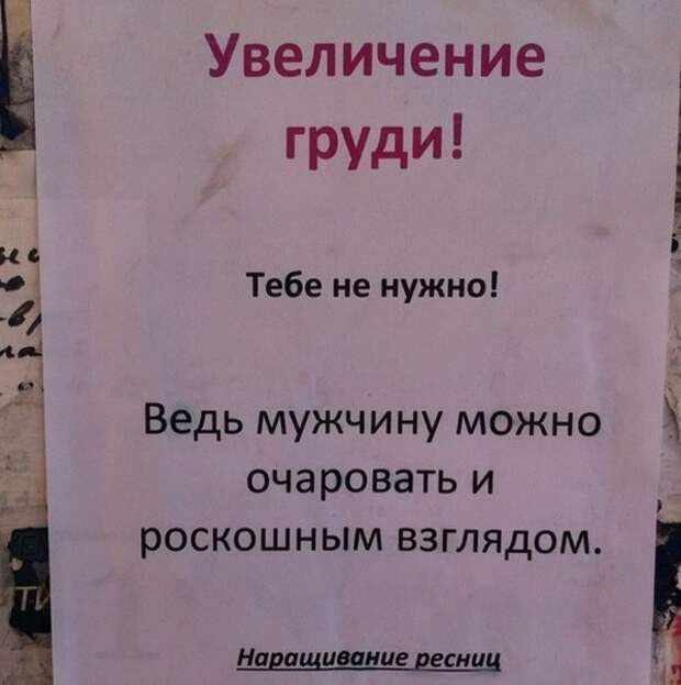 Продавцы-приколисты. Весёлые картинки