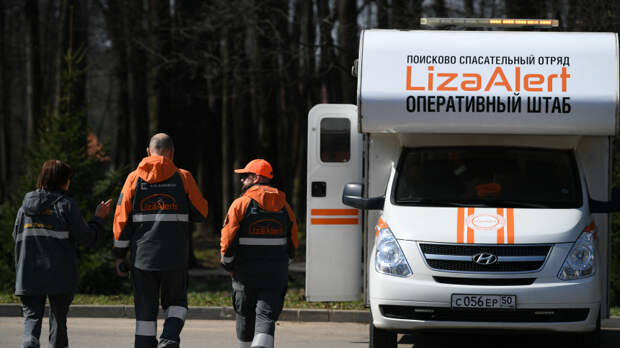 В Самарской области более 200 волонтеров ищут пропавшую трехлетнюю девочку