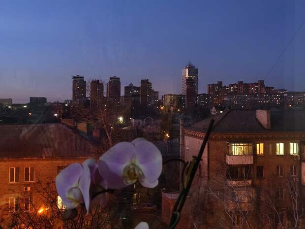 Добрый вечер