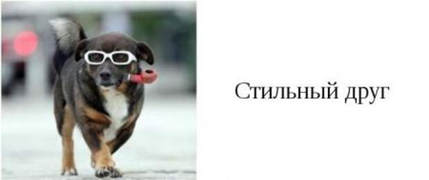 Такие друзья, есть у каждого из вас.