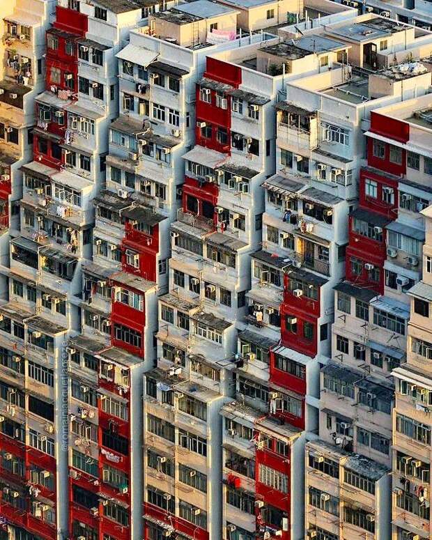 архитектура, здание