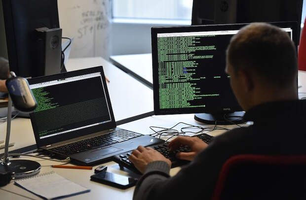 День программиста в России в 2026 году: дата, история и традиции праздника