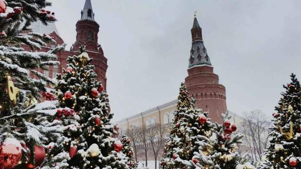 Кремлёвская ёлка вошла в десятку самых высоких в мире