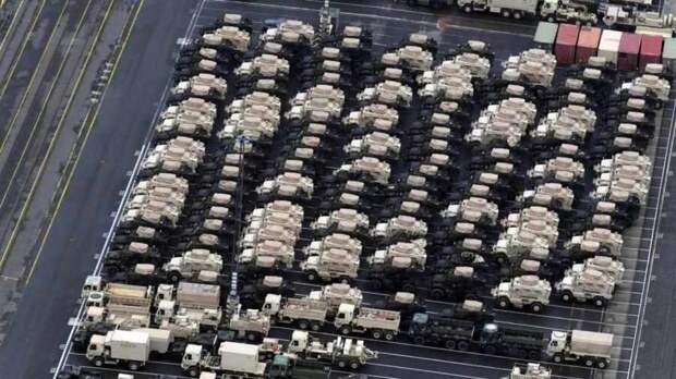 Юрий Селиванов: Наука отделять котлеты от мух