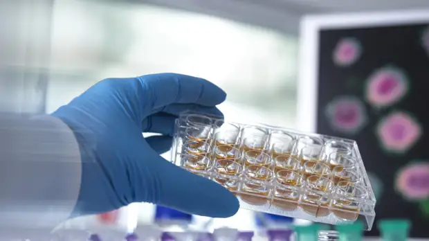 Вирусолог Аграновский дал прогноз по ситуации со штаммом «омикрон» в России