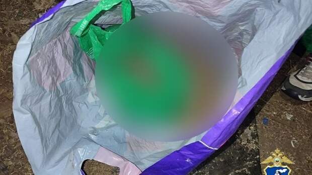 Обнаруженные наркотики / Фото: ГУ МВД России по Алтайскому краю