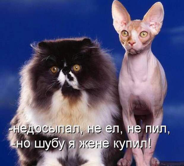 Мысли вслух :)