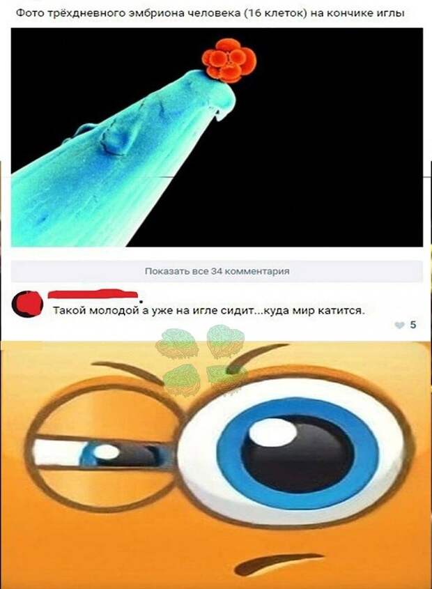 Весёлые