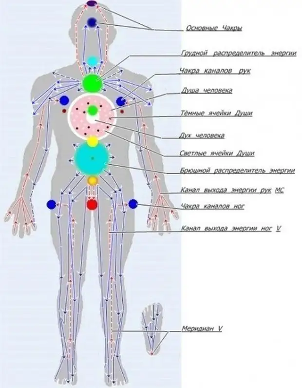 Энергоканалы человека схема