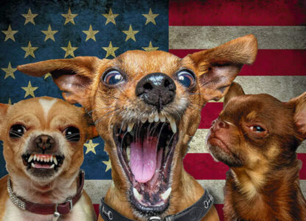 Прибалтика научит Европу умирать за НАТО