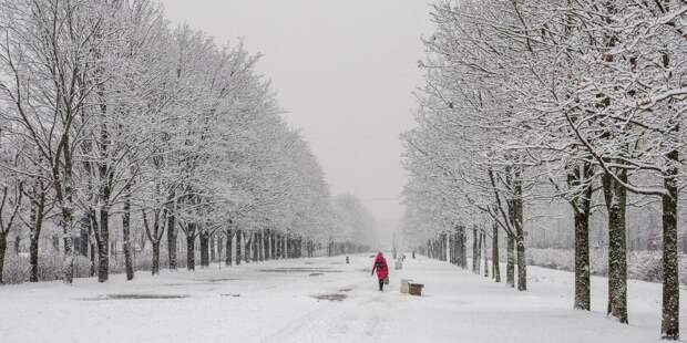 От -50° до +9°: в какой погоде россияне встретят Новый год 2026