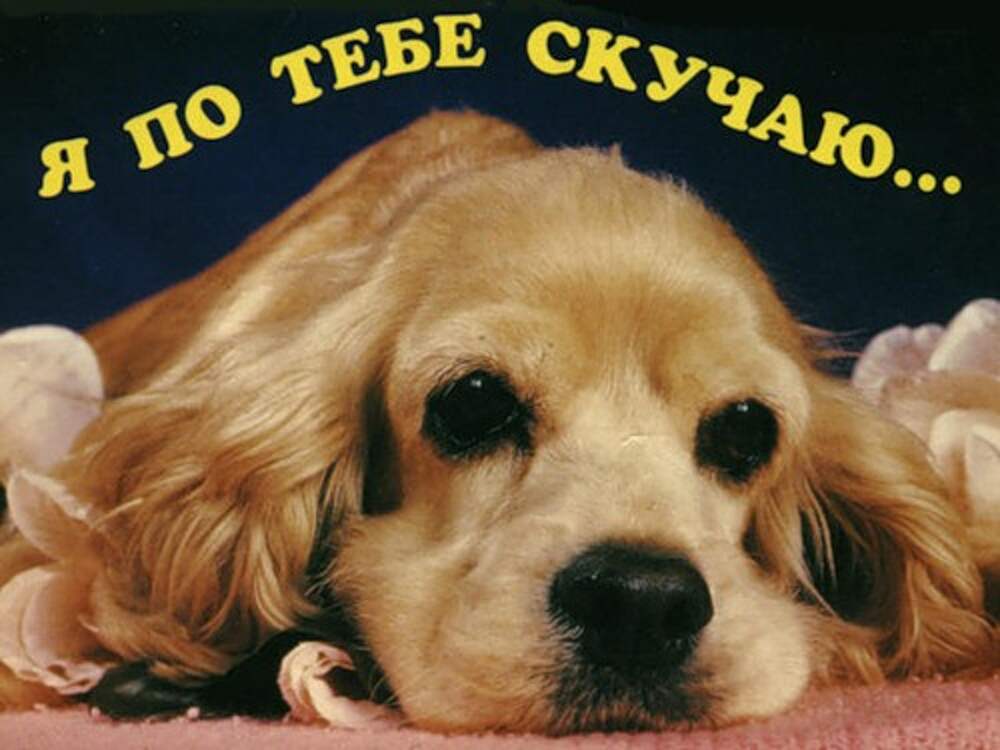 Ладно скучаю