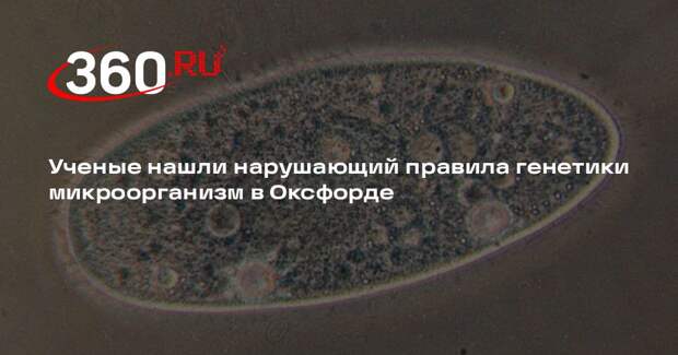 Science Daily: в пруду Оксфорда нашли генетически уникальный микроорганизм