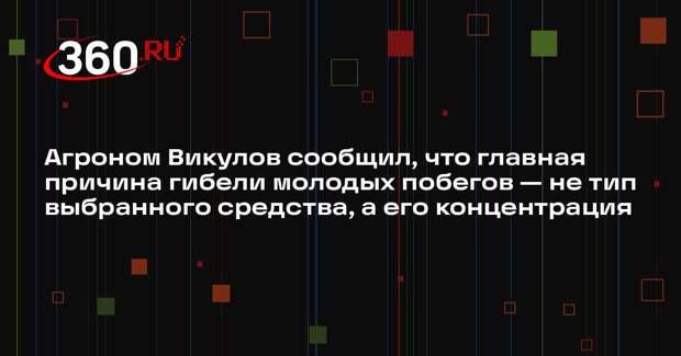 Агроном Викулов сообщил, что главная причина гибели молодых побегов — не тип выбранного средства, а его концентрация