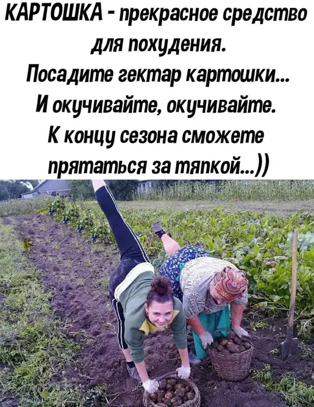 Бросаю курить. День седьмой. Наорал на хлеб за то, что он сильно крошился Бросаю курить. День седьмой. Наорал на хлеб за то, что он сильно крошился девушка, выстрел, Девушка, поднимается, время, Публика, слетает, девушки, после, дымящимся, танцует, представляется, столика, опять, просто, встает, глаженого, вновь, восторга, пистолетом