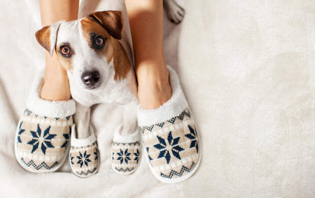 Как меняется мода на имена питомцев: самые яркие клички и комментарий специалиста