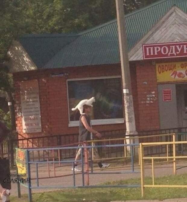 20 эпичных ситуаций, которые не могли бы произойти в Москве 20 эпичных ситуаций, которые не могли бы произойти в Москве