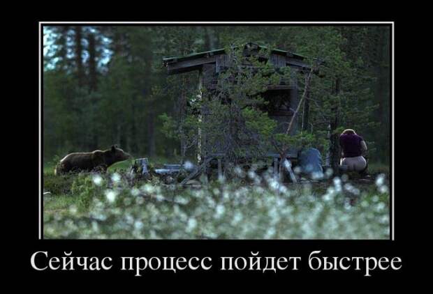 Dемки