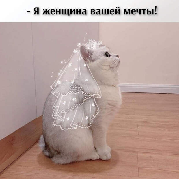 wNKaRlbODlE (700x700, 247Kb)