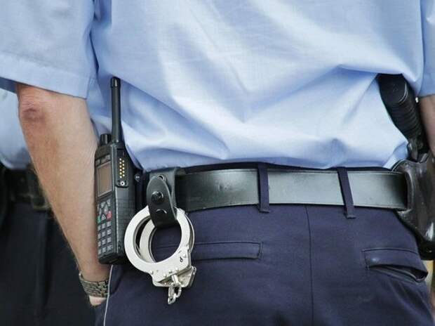 Оперативники назвали стоимость заказного убийство женщины с собакой