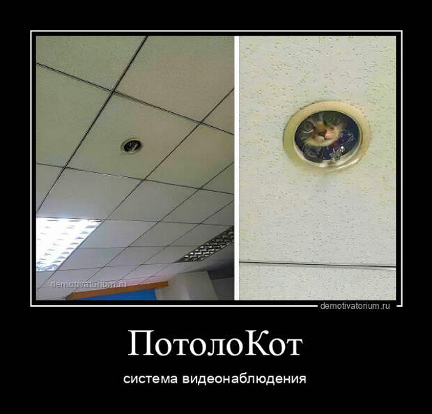Демотиваторы дня (15 фото)