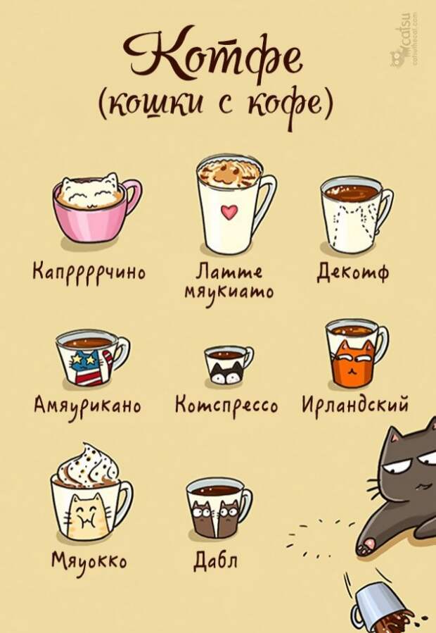 Как меняется жизнь с появлением в доме кота (20 картинок)