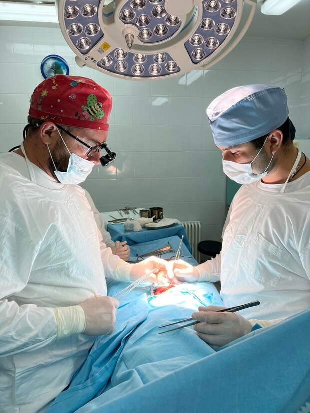 Хирурги Самарского государственного медицинского университета начали выполнять сложные операции по протезированию в области урологии. Протезирование яичка выполняется крайне редко и требует высокой квалификации хирургической бригады. Такое вмешательство показано при врождённой патологии или после удаления одного из яичек по какой-либо причине.