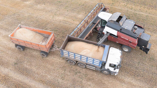 Вице-спикер ГД Гордеев: сельское хозяйство РФ недобрало 100 млрд рублей прибыли