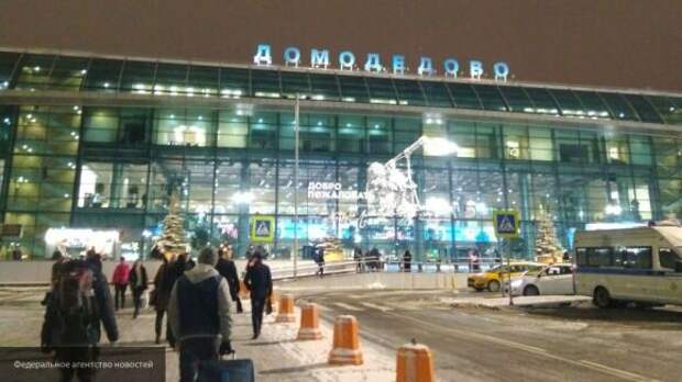 Подмосковные следователи возбудили дело о халатности в аэропорту Домодедово