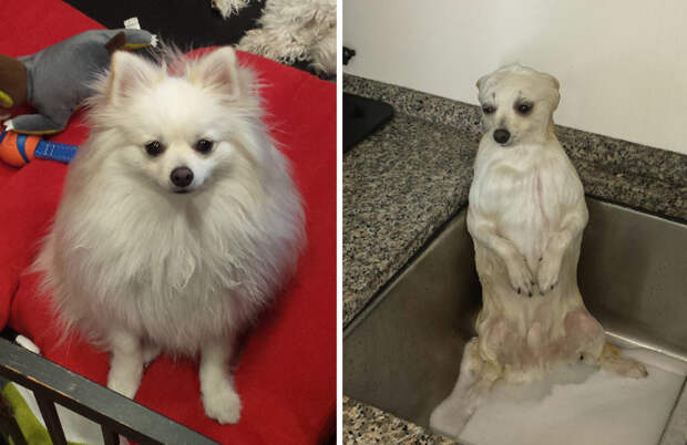 Before Vs. After Bath