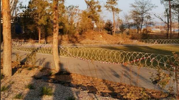 Блогер Варламов сравнил волгоградский ЦПКИО с зоной из-за колючей проволоки у газона