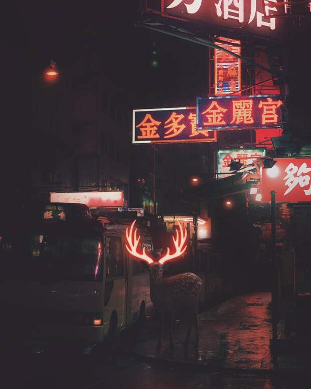 www.vsyako.net