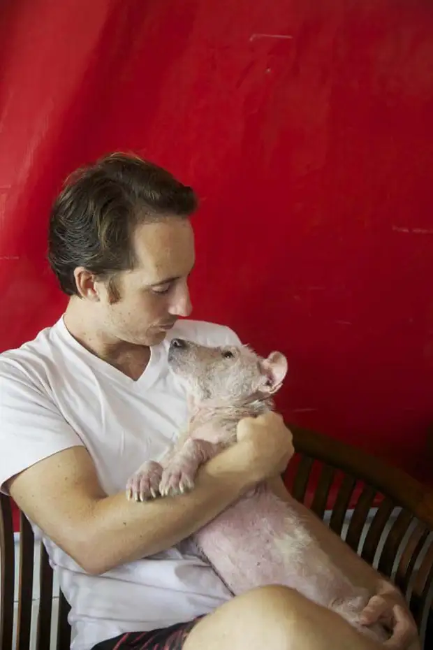 Спасение бездомного пса