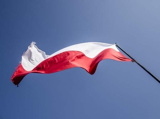 Немцев разозлило требование Польши о репарациях: Германии надо выйти из ЕС